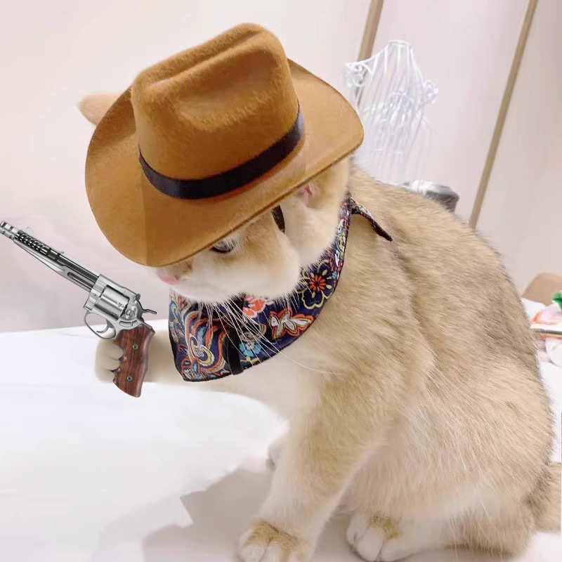   猫カウボーイハットペットヘッドアクセサリーウエスタン - Cowboy Hat Straw のレビューと価格